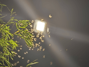 תאורה ניידת לעבודות שטח